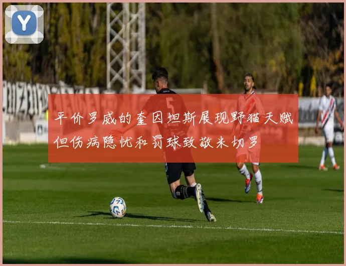 平价罗威的奎因坦斯展现野猫天赋但伤病隐忧和罚球致敬米切罗